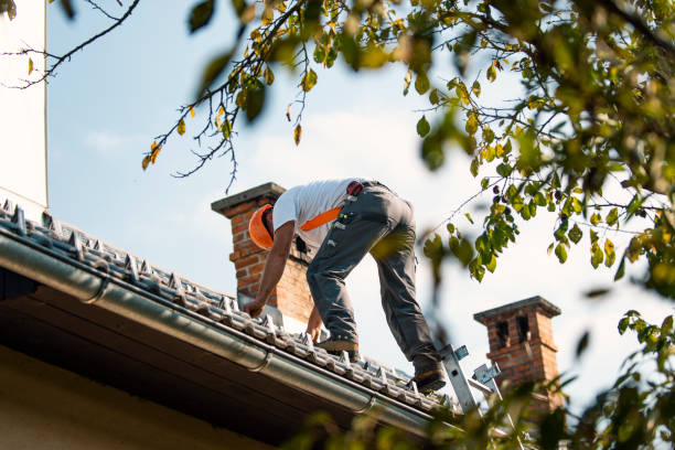 Best Slate Roofing Contractor  in Newton Falls, OH