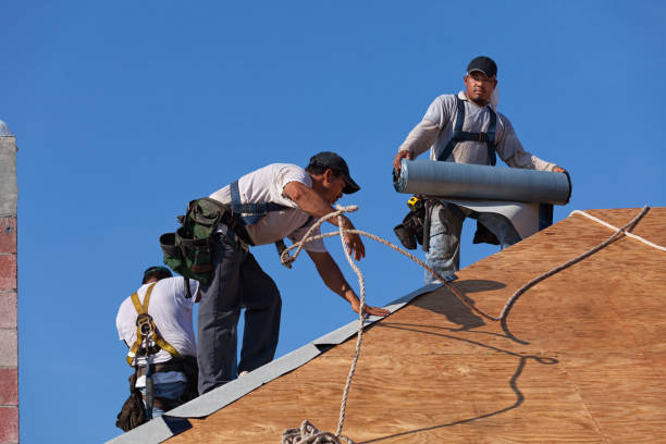 Best Residential Roofing Contractor  in Newton Falls, OH