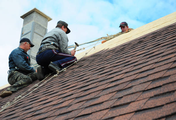 Quick and Trustworthy Emergency Roof Repair Services in Newton Falls, OH